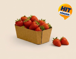 Caserolă din carton ondulat 164*100*75 mm (80310)