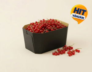 Caserolă din carton ondulat (80415)